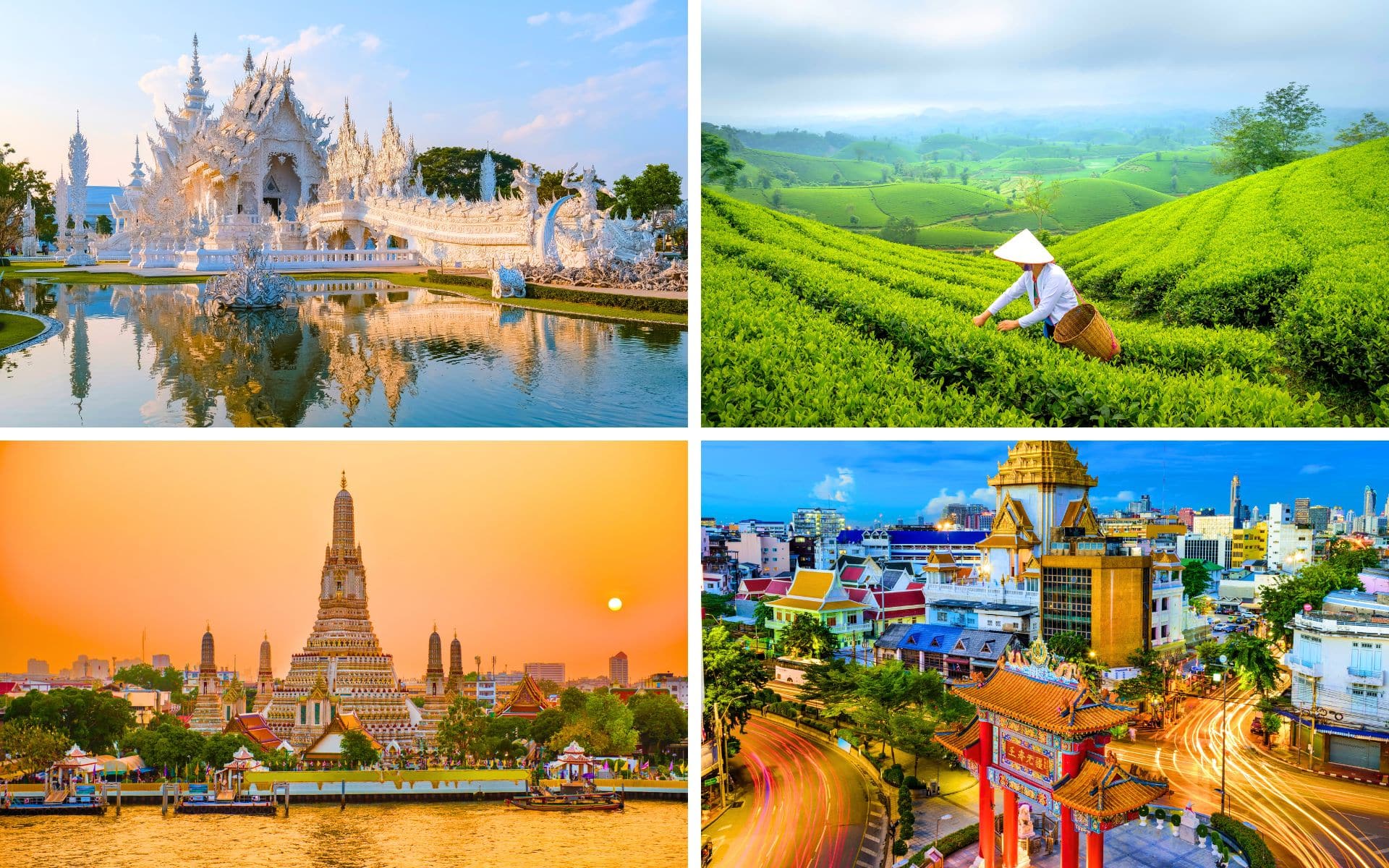 Golden Triangle Explorer (10) Golden Triangle Explorer 10 WOLO Travel